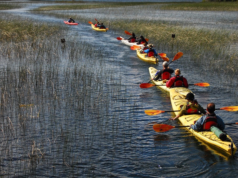 Kayak Patagonia Argentina