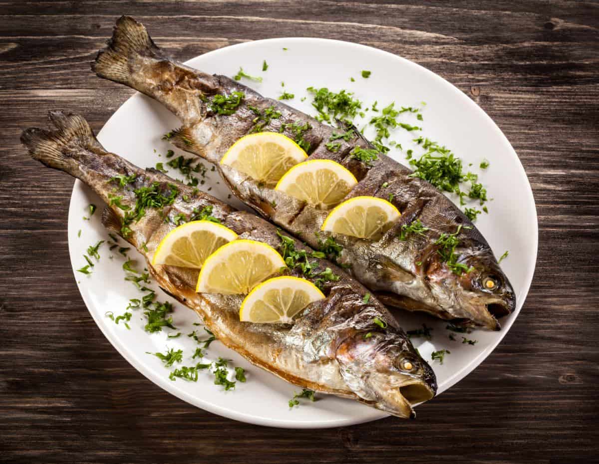 Gastronomía patagónica: 8 platos típicos que sí o sí debes probar